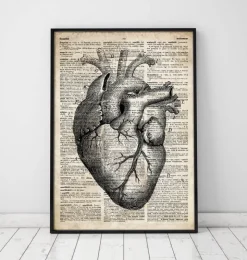 Art d'anatomie cardiaque II - Ancien dictionnaire-Codex Anatomicus Clearance