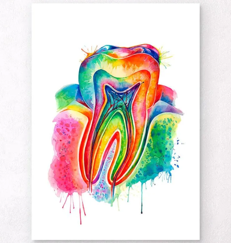 Art d'anatomie dentaire - Aquarelle-Codex Anatomicus