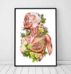 Art d'anatomie du corps féminin - Blanc-Codex Anatomicus Discount