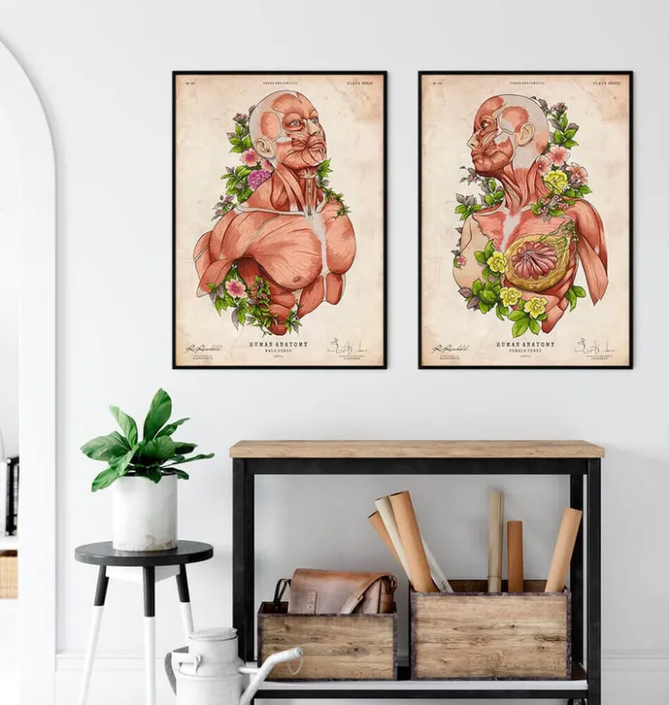 Art d'anatomie du corps féminin-Codex Anatomicus Online