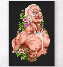Art d'anatomie du corps masculin - Noir-Codex Anatomicus Outlet