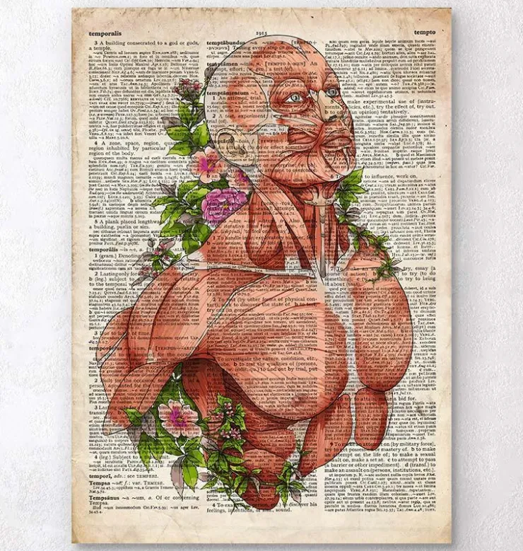 Art d'anatomie du corps masculin - Ancien dictionnaire-Codex Anatomicus Outlet