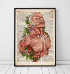 Art d'anatomie du corps masculin - Ancien dictionnaire-Codex Anatomicus Outlet