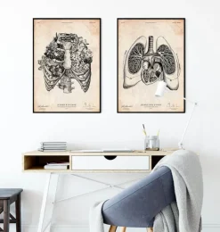 Art d'anatomie du cœur et des poumons V-Codex Anatomicus New