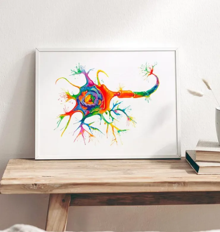 Art de la structure des neurones - Aquarelle-Codex Anatomicus Clearance