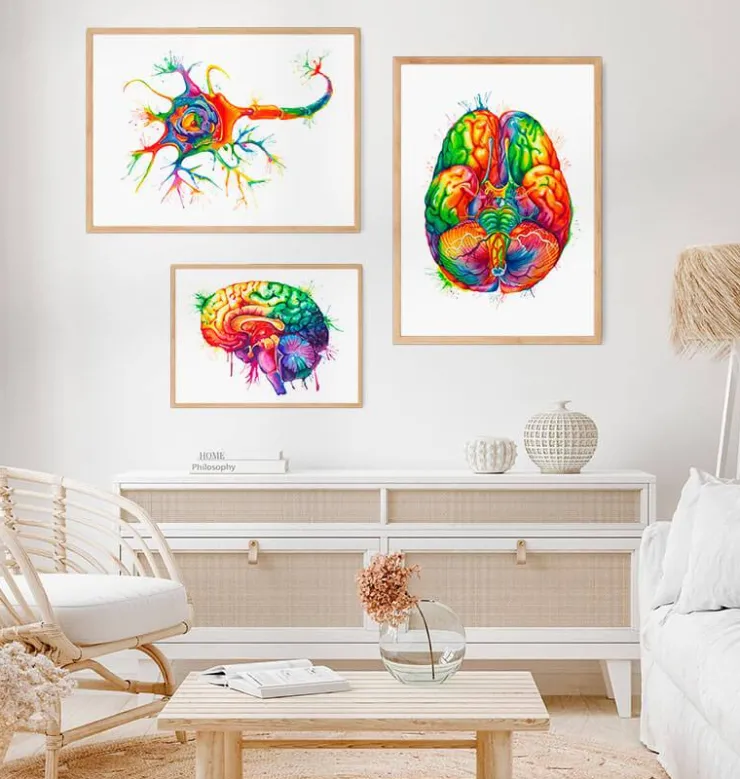 Art de la structure des neurones - Aquarelle-Codex Anatomicus Clearance