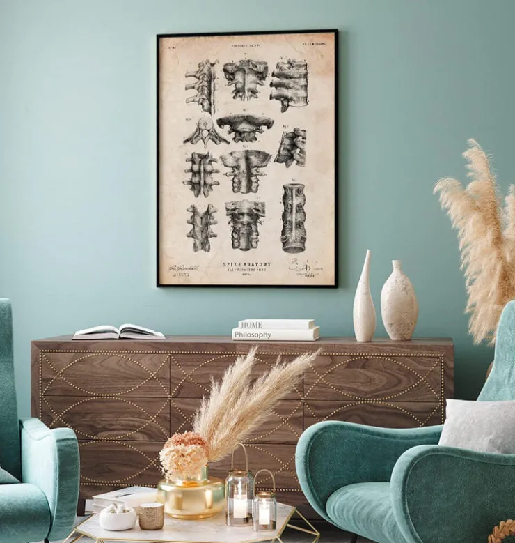 Art de l'anatomie de la colonne vertébrale-Codex Anatomicus Best