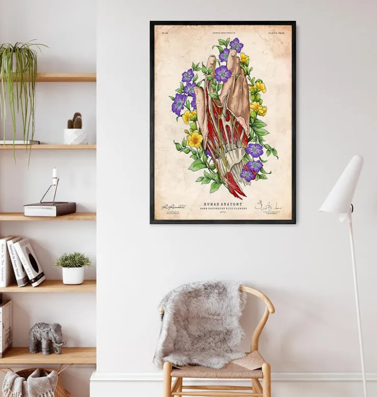 Art de l'anatomie de la main-Codex Anatomicus Discount