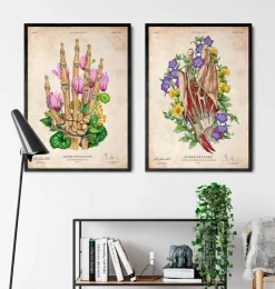Art de l'anatomie de la main-Codex Anatomicus Discount