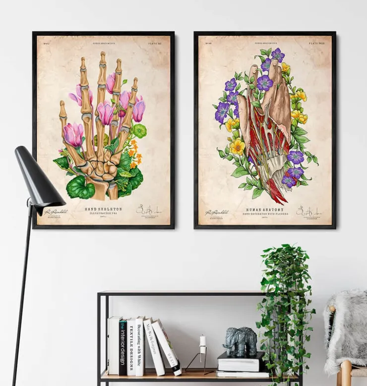 Art de l'anatomie de la main-Codex Anatomicus Discount