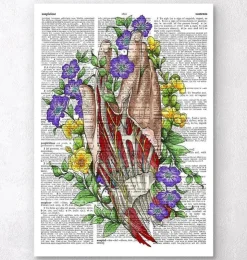 Art de l'anatomie de la main - Page du dictionnaire-Codex Anatomicus Hot