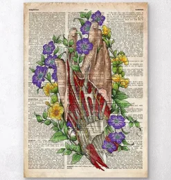 Art de l'anatomie de la main - Anciene dictionnaire-Codex Anatomicus