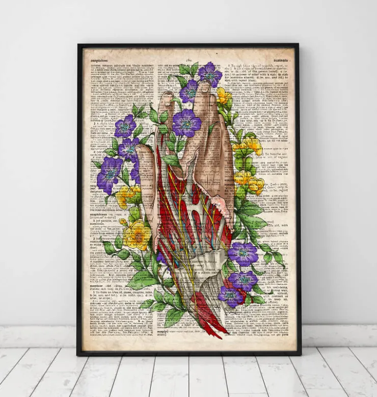 Art de l'anatomie de la main - Anciene dictionnaire-Codex Anatomicus