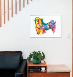 Art de l'anatomie de l'oreille - Aquarelle-Codex Anatomicus Hot
