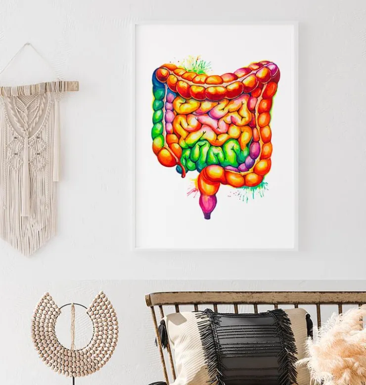 Art de l'anatomie des intestins - Aquarelle-Codex Anatomicus
