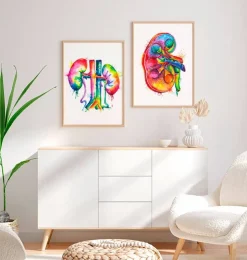 Art de l'anatomie des reins - Aquarelle-Codex Anatomicus Discount
