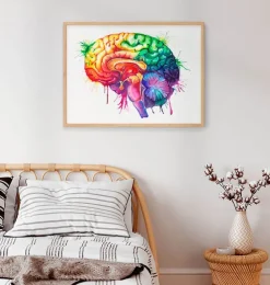 Art de l'anatomie du cerveau - Aquarelle-Codex Anatomicus Discount