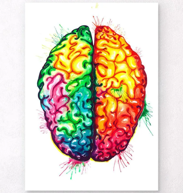 Art de l'anatomie du cerveau II - Aquarelle-Codex Anatomicus New