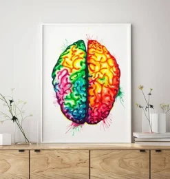Art de l'anatomie du cerveau II - Aquarelle-Codex Anatomicus New