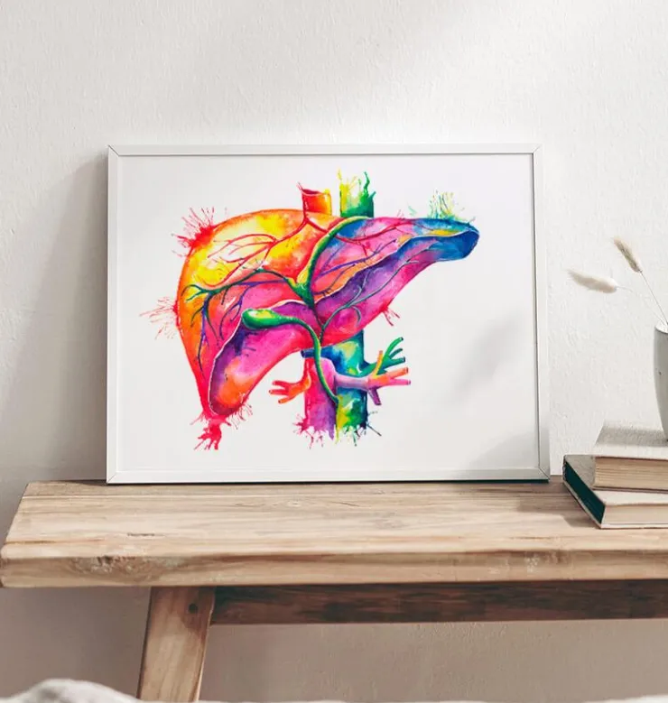 Art de l'anatomie du foie - Aquarelle-Codex Anatomicus New