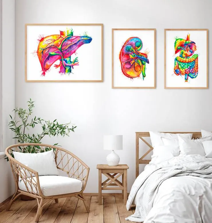 Art de l'anatomie du foie - Aquarelle-Codex Anatomicus New