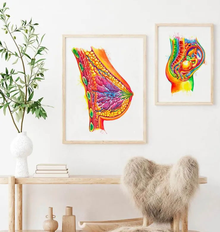 Art de l'anatomie du sein - Aquarelle-Codex Anatomicus Clearance