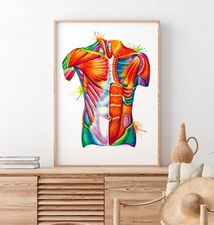 Art de l'anatomie du torse - Aquarelle-Codex Anatomicus Hot