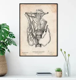 Art de l'anatomie thyroïdienne-Codex Anatomicus Sale