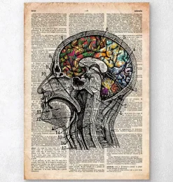 Art du cerveau floral - Ancien dictionnaire-Codex Anatomicus Hot