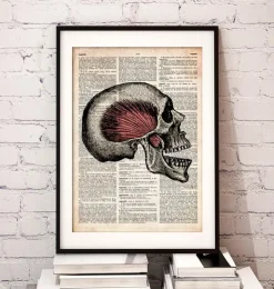 Art du crâne - Page du dictionnaire-Codex Anatomicus New