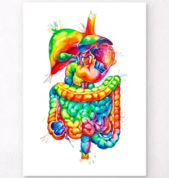 Art du système digestif - Aquarelle-Codex Anatomicus Best