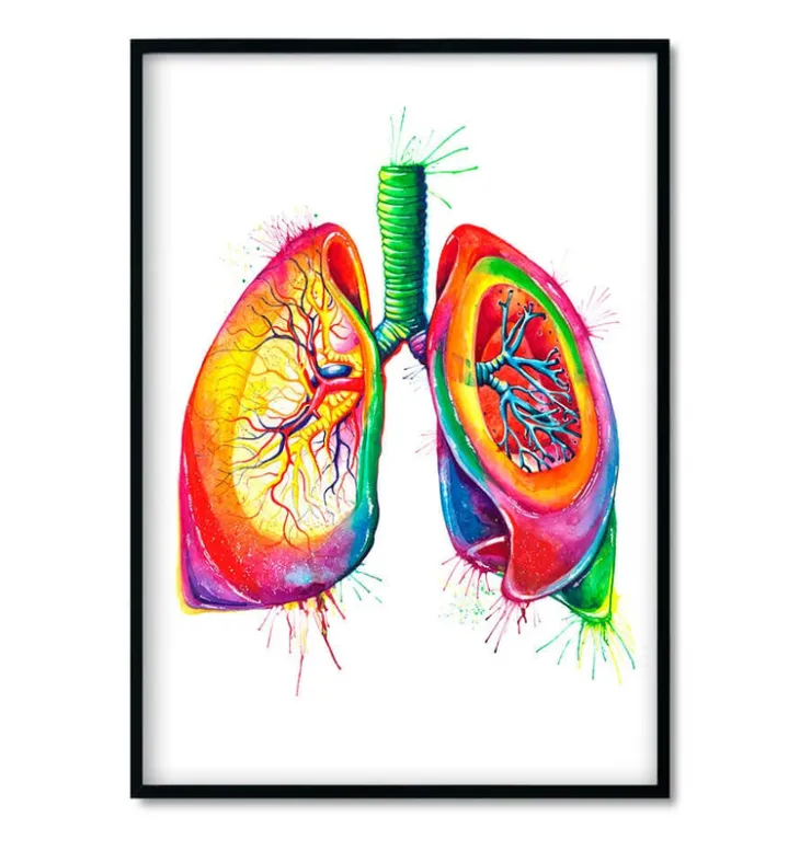 Bestsellers - Aquarelle - Lot de 3-Codex Anatomicus Sale