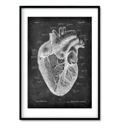 Bestsellers - Chalkboard - Lot de 3-Codex Anatomicus New