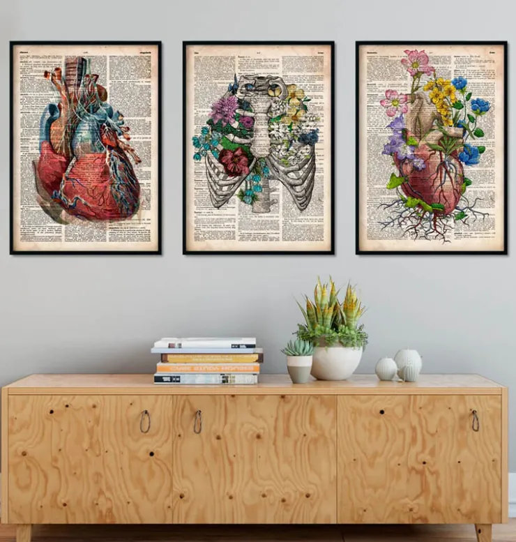 Bestsellers - Dictionnaire - Lot de 3-Codex Anatomicus Hot