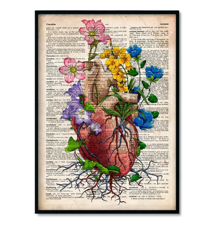 Bestsellers - Dictionnaire - Lot de 3-Codex Anatomicus Hot