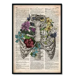 Bestsellers - Dictionnaire - Lot de 3-Codex Anatomicus Hot