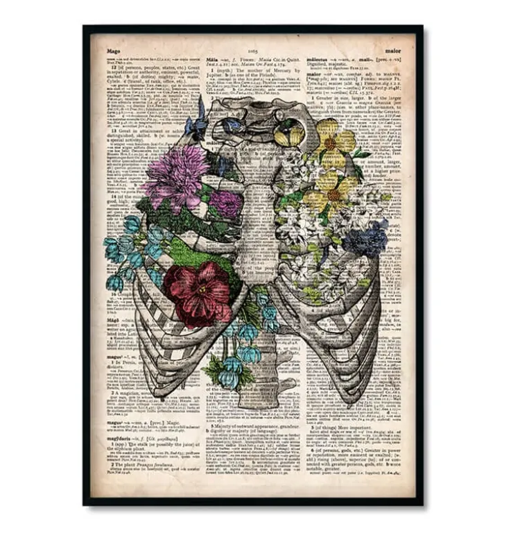 Bestsellers - Dictionnaire - Lot de 3-Codex Anatomicus Hot