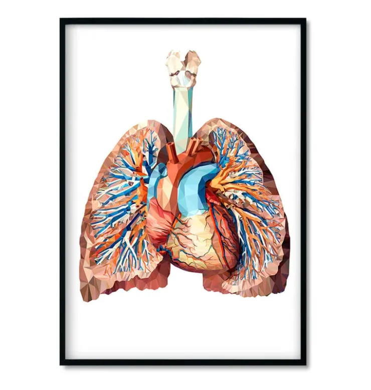 Bestsellers - Géométrique - Lot de 3-Codex Anatomicus Hot