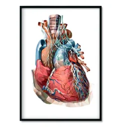 Bestsellers - Géométrique - Lot de 3-Codex Anatomicus Hot