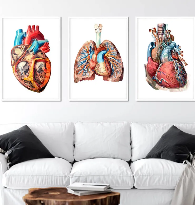 Bestsellers - Géométrique - Lot de 3-Codex Anatomicus Hot