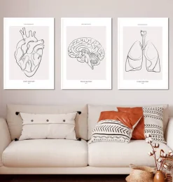 Bestsellers - Line Art - Lot de 3-Codex Anatomicus Outlet