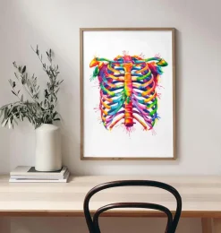 Cage thoracique - Aquarelle-Codex Anatomicus Hot