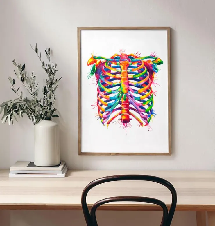 Cage thoracique - Aquarelle-Codex Anatomicus Hot