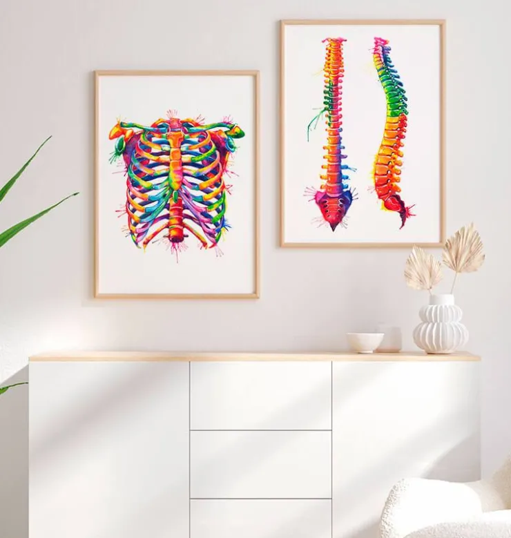 Cage thoracique - Aquarelle-Codex Anatomicus Hot