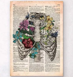 Cage thoracique - Page du dictionnaire-Codex Anatomicus Hot