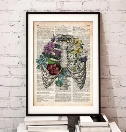 Cage thoracique - Page du dictionnaire-Codex Anatomicus Hot