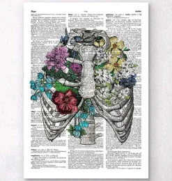 Cage thoracique - Page du dictionnaire-Codex Anatomicus
