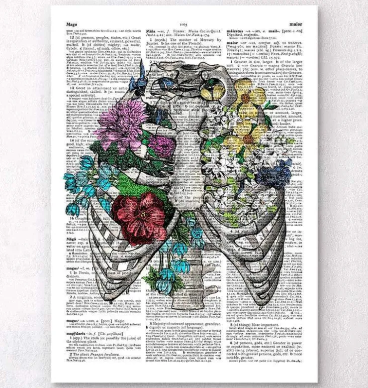 Cage thoracique - Page du dictionnaire-Codex Anatomicus