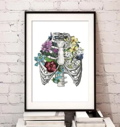 Cage thoracique avec fleurs-Codex Anatomicus New
