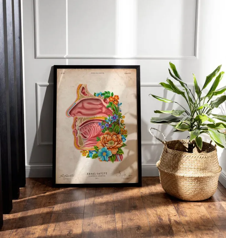 Cavité nasale - Floral - Vintage-Codex Anatomicus Hot